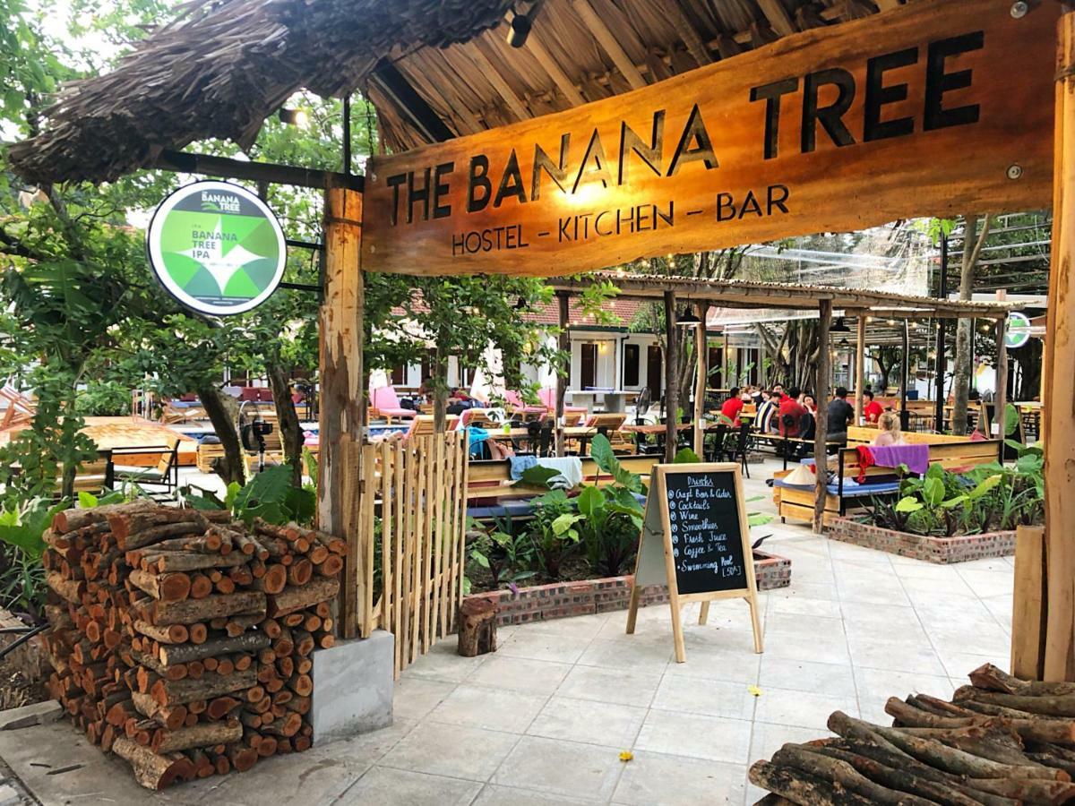 The Banana Tree Hostel Ninh Bình Kültér fotó